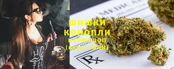 ГАЛЛЮЦИНОГЕННЫЕ ГРИБЫ Балабаново