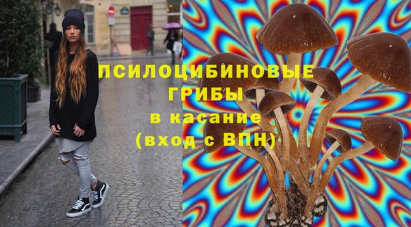 ГАЛЛЮЦИНОГЕННЫЕ ГРИБЫ Балабаново